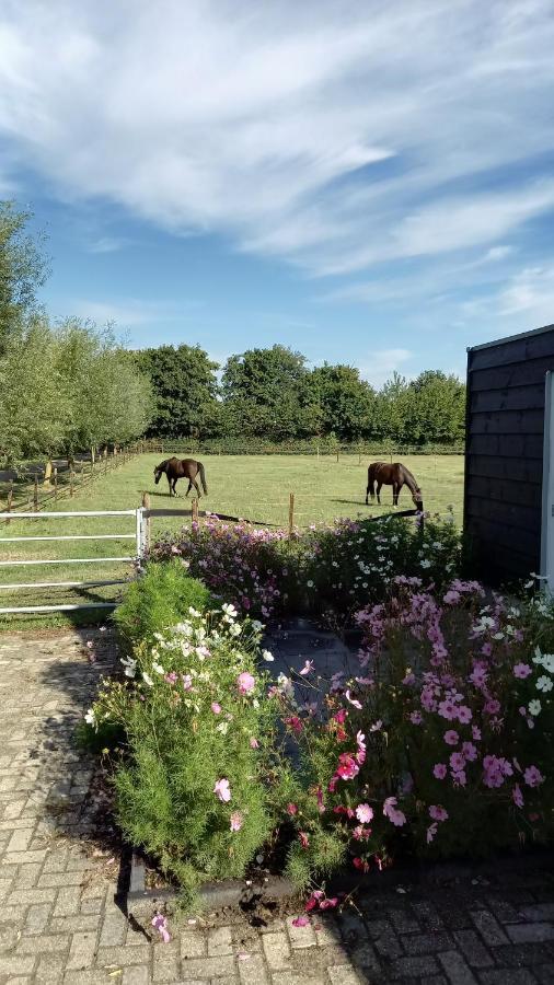 Ferienwohnung De Klaproos Noordgouwe Exterior foto